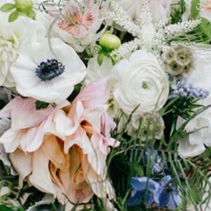 Meet your Posher, Lori